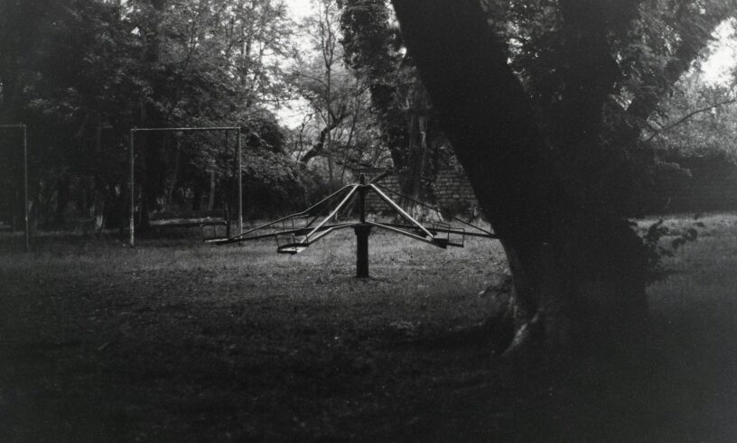 Abandoned merry-go-round beneath trees, representing intuition and timing