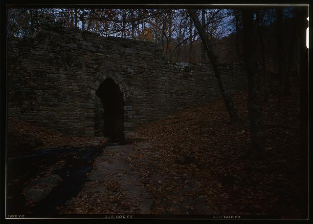 Historic Poinsett Bridge surrounded by woods in South Carolina